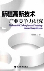 新疆高新技术产业竞争力研究