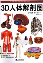 3D人体解剖图