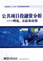 公共项目投融资分析:理论、分析及应用