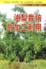 油梨栽培与加工利用