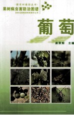 果树病虫害防治图谱 葡萄