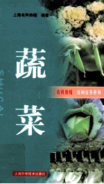 蔬菜
