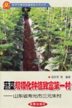 蔬菜规模化种植致富第一村 山东省寿光市三元朱村
