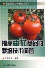 提高番茄商品性栽培技术问答
