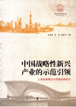 中国战略性新兴产业的示范引领 上海临港模式与发展战略研究