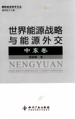 世界能源战略与能源外交 中东卷