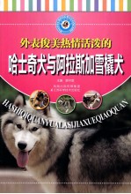 外表俊美热情活泼的哈士奇犬与阿拉斯加雪橇犬