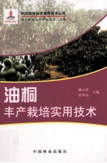 油桐丰产栽培实用技术