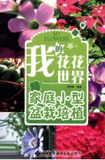 我的花花世界 家庭小型盆栽培植