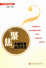 聚焦中国民营经济热点