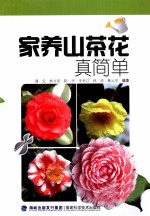 家养山茶花真简单