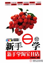 新手易学 新手学淘宝开店