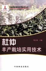 杜仲丰产栽培实用技术