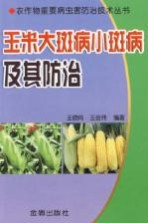 玉米大斑病小斑病及其防治