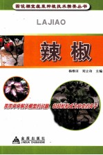 辣椒