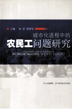 城市化进程中的农民工问题研究