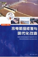 水电机组修复与现代化改造