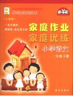 家庭作业家庭优练 小学语文 二年级 下 人教版