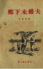 乡下未婚夫 小说集