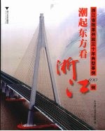 潮起东方看浙江:浙江省改革开放三十年典型事例100例