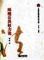 环境公共权力论