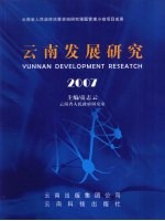云南发展研究 2007