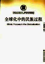 全球化中的民族过程
