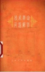 技术革命问题解答