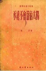 永远不会落的太阳