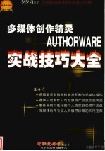 多媒体制作精灵Authorware实战技巧大全