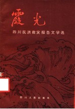 霞光 四川抗洪救灾报告文学选