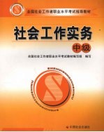 社会工作实务 中级