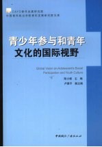 青少年参与和青年文化的国际视野