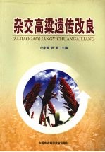 杂交高粱遗传改良