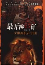 最后的金矿 无限商机在非洲