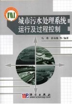 城市污水处理系统运行与过程控制
