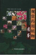 观赏药用植物图鉴