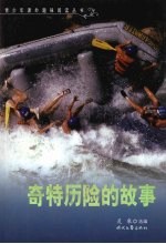 奇特历险的故事