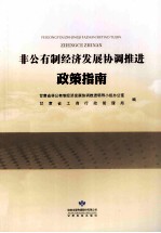 非公有制经济发展协调推进政策指南