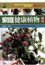 家庭健康植物栽培
