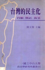 台湾的民主化 回顾·检讨·展望