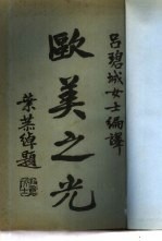 殴美之光