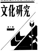 文化研究 第6辑