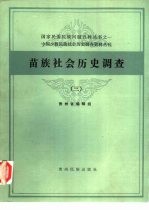苗族社会历史调查 3