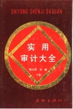 实用审计大全 下