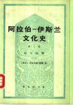 阿拉伯-伊斯兰文化史 第3册 近午时期 2