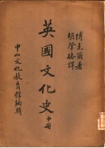 中山文库 英国文化史 中