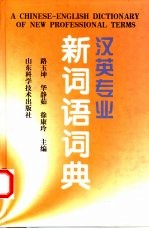 汉英专业新词语词典