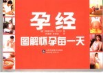 孕经 图解怀孕每一天