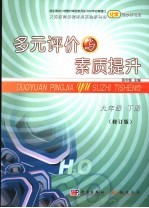 多元评价与素质提升 九年级化学 下 修订版